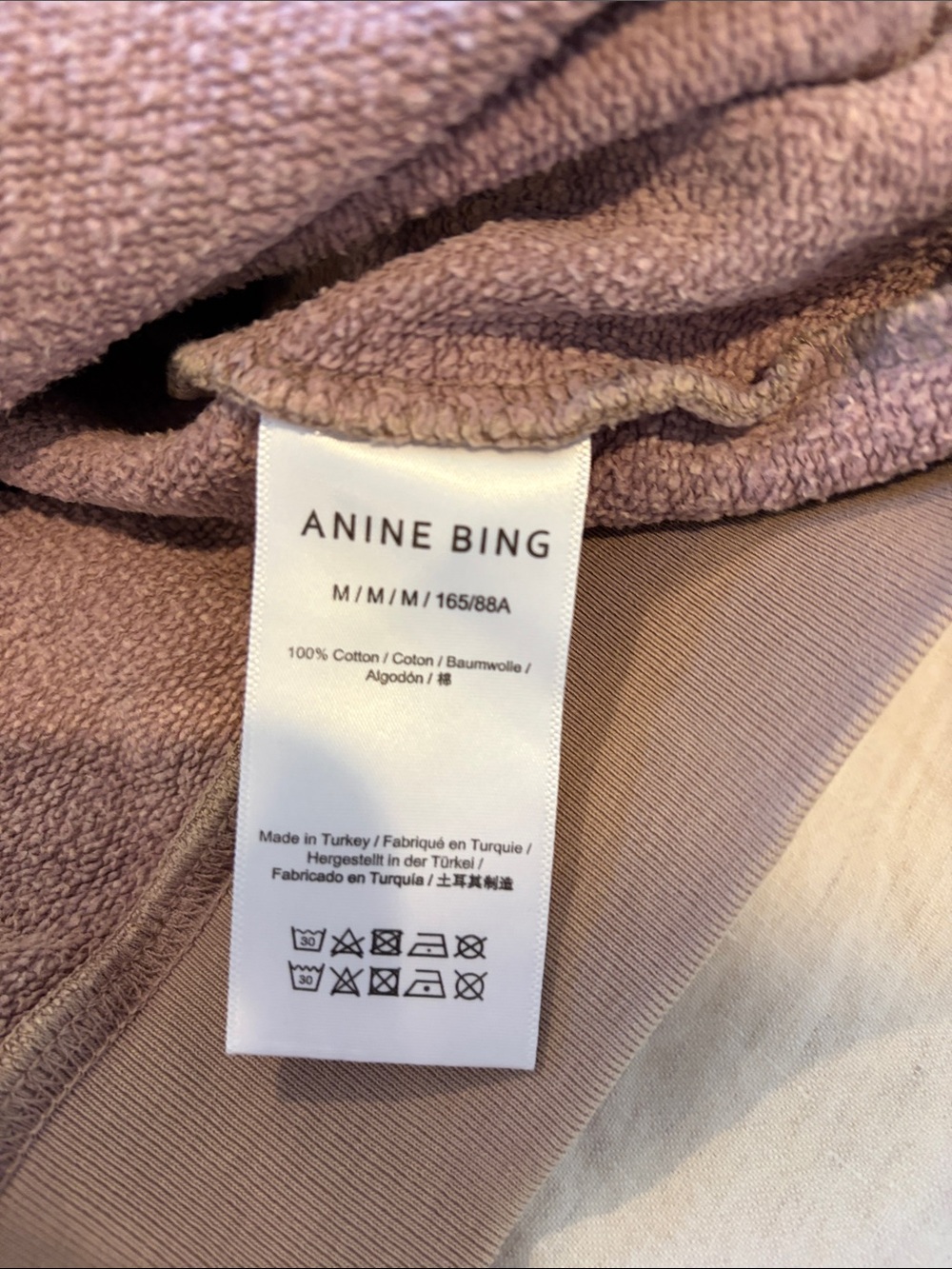 Anine Bing Taupe Crewneck Sweatshirt with Iridescent Logo - Picture 3 of 4